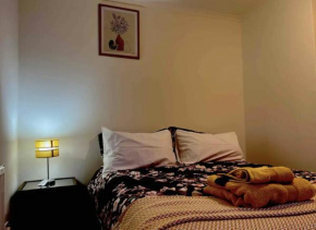 King size bedroom apartment in Tottenham, London